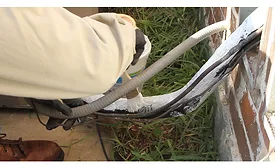Seal tack application 1