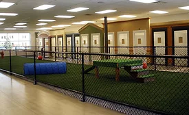Spa paw  tail guest rooms