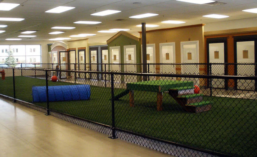 Spa paw tail guest rooms