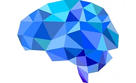Alice brain
